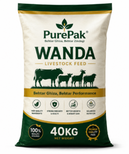 Wanda-40kg
