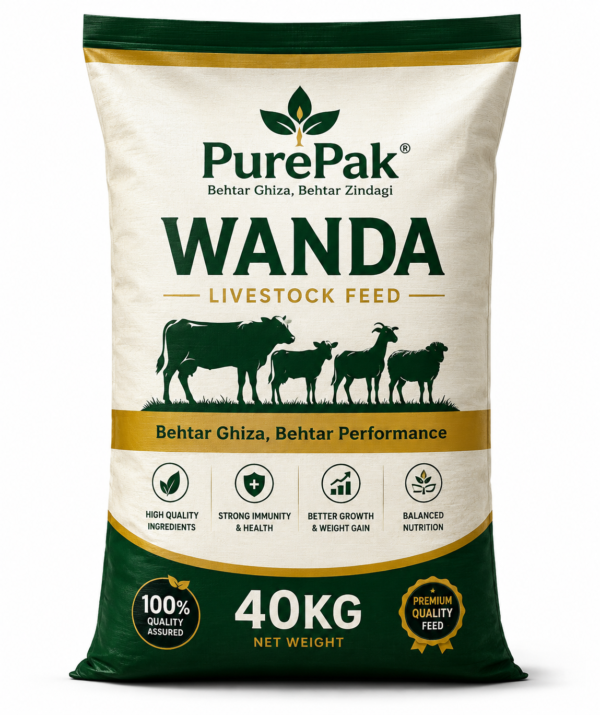 Wanda-40kg