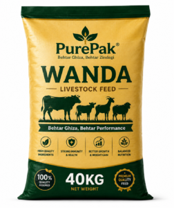 Wanda-40kg